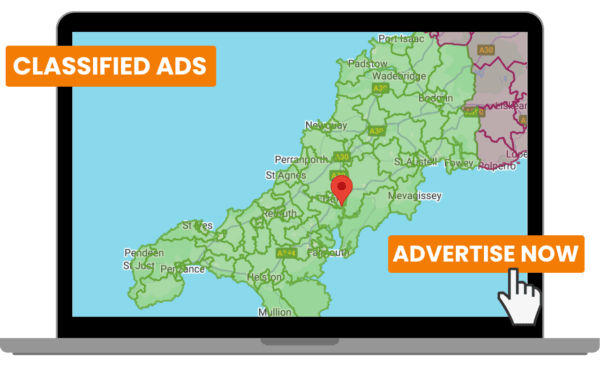 Webdeli Classified Ads Payment